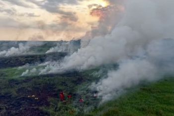 South Kalimantan lifts emergency alert status for forest, land fires