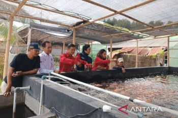 Pemkab Bekasi kembangkan potensi desa melalui BUMDes