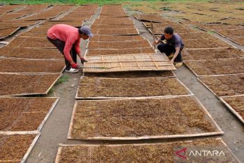 Gappri berharap dilibatkan dalam perumusan kebijakan tarif CHT