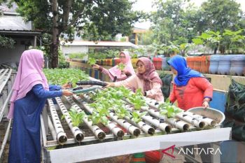 DKP Tangerang salurkan bantuan perkuat peran KWT jaga ketahanan pangan