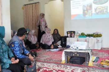 KWT Sakinah wakili Padang Panjang penilaian P-KRPL Sumbar