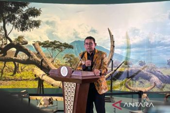 Indonesia to reclaim 28,000 prehistoric fossils from Netherlands