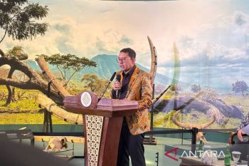 Indonesia pushes for return of historic keris, royal artifacts abroad