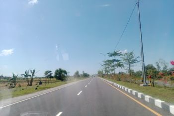 Transfer anggaran Lombok Tengah di APBN 2026 dipangkas Rp383 miliar