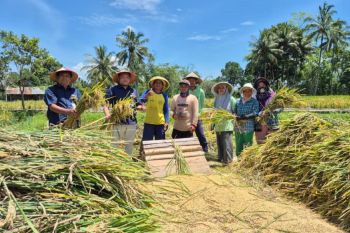 Harga sesuai, Bulog Rejang Lebong siap beli gabah petani Rp6.500/kg