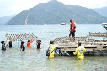 Penanaman terumbu karang di Trenggalek