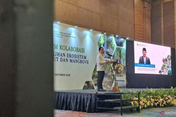 Indonesia urges firms to boost peatland restoration efforts