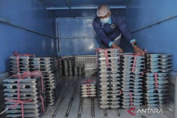 Govt mandates triple certification for MBG kitchens