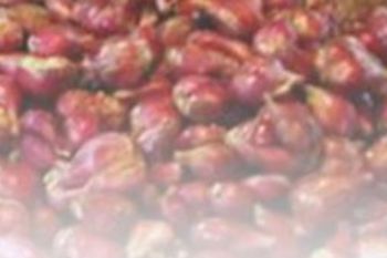 Bawang merah peredam utama inflasi Siantar