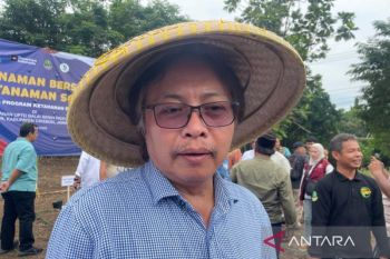 Distanhorti Jabar bantu petani agar mangga gedong gincu tembus ekspor
