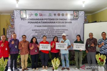 OJK dukung pengembangan komoditas kakao Bali