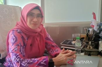 East Kalimantan seeks investment in renewable power plants