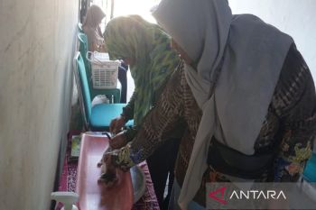 Dinas Pertanian Kota Pekalongan siapkan  200 dosis vaksin rabies gratis