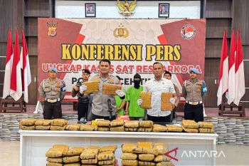 Polres Aceh Timur tangkap dua kurir ganja 67 kg