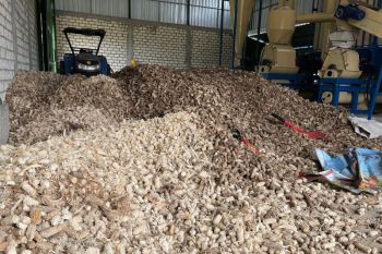 PLN sulap limbah jagung jadi listrik, petani Tuban dapat tambahan penghasilan