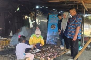 Kontribusi dosen sekolah vokasi Undip berikan solusi bagi UKM ikan Tegal