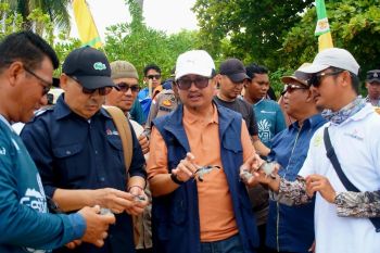 Pemdes Sepempang Natuna  lepasliarkan 150 ekor tukik di pulau terluar