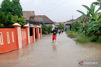 Sebanyak 343 rumah warga Kabupaten OKU terdampak banjir