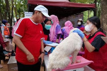 Maros gelar vaksinasi gratis untuk tekan rabies