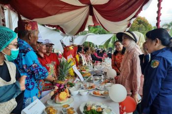 TP PKK Palangka Raya dukung penguatan peran dan layanan posyandu