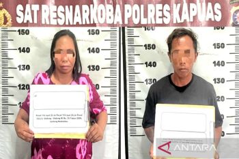 Ibu dan anak di Kapuas sembunyikan 20 paket sabu di kandang babi