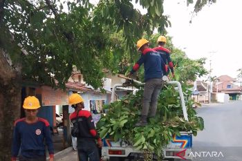 PLN ULP Baturaja jaga  keandalan tenaga listrik saat musim hujan