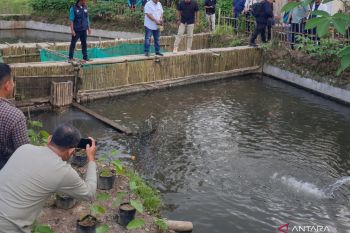 Kabupaten Banyuasin manfaatkan potensi perikanan budi daya