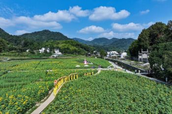 Pertunjukan naga anyaman jerami ditampilkan di Huangshan, China timur