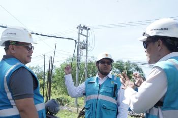 PLN pastikan keandalan listrik untuk dorong pertumbuhan ekonomi Kalteng