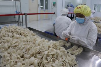 Indonesia pushes back on China’s swiftlet nest export curbs