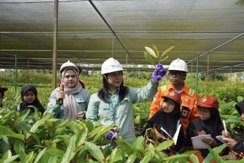 PT Vale ajak siswa SD kenali praktik pertambangan berkelanjutan di Sorowako