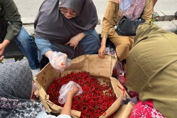 Gerak Cepat, Tekan Inflasi Pemprov Riau Distribusikan 1 Ton Cabe Merah