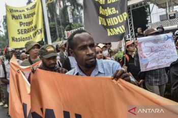 Apa itu deforestasi hutan dan penyebabnya? Ini penjelasannya