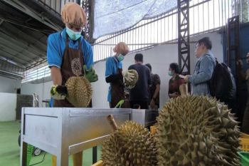 Kadin Parimo: Regulasi bersama perkuat investasi dan ekonomi daerah