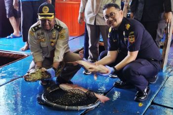 Natuna kembali ekspor ikan hidup ke Hong Kong setelah terhenti enam bulan