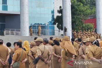 Pemprov Papua sebut kenaikan dana transfer perkuat kapasitas fiskal