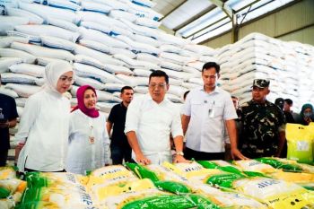 Bapanas ensures government rice stock safe for consumption