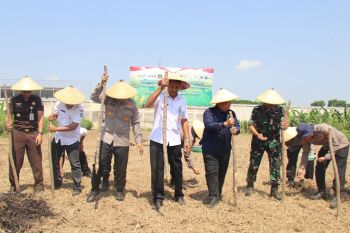 Polres Kudus  salurkan 40 ton jagung kering ke Bulog