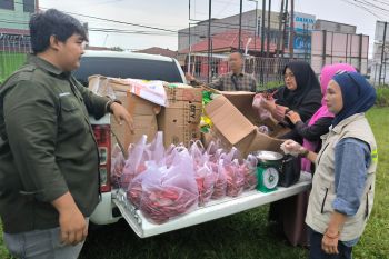 Pemprov Riau kembali salurkan 1,1 ton cabai merah di Pekanbaru dan Kampar