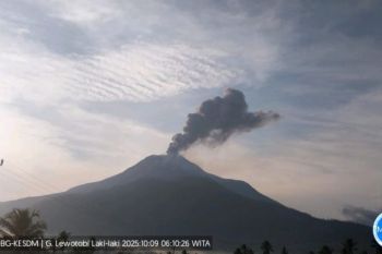 Bandara Frans Seda Maumere tutup sementara akibat terdampak erupsi Lewotobi