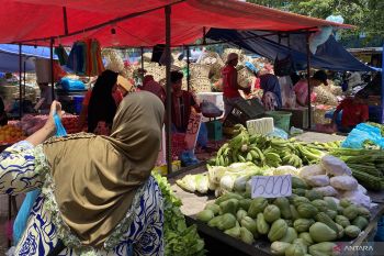 DKPP Batam periksa kadar pestisida pada komoditas segar di dapur SPPG