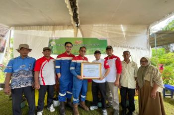Pertamina EP Pendopo Field tanam pinang, dorong ekonomi warga