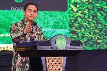 Social forestry vital for food self-sufficiency: minister