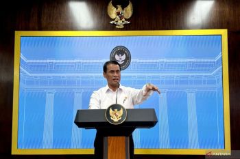 Govt to halt raw coconut exports, pushes downstreaming initiative