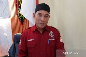 Diskominfo Kotim berkomitmen tingkatkan kualitas jaringan telekomunikasi