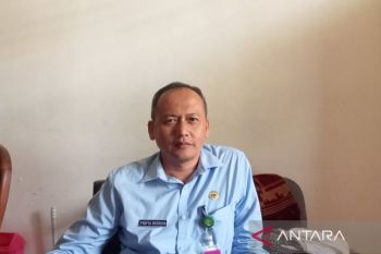 Bantul mengembangkan aplikasi untuk digitalisasi kopdes merah putih