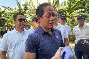 No Cs-137 radioactive exposure at clove production in Lampung: Govt