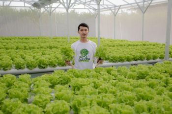 Petani milenial Lumajang dapat berkah dari program MBG