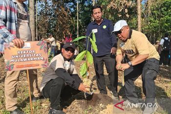 Unmul perkuat  visi IKN hijau lewat rekor tanam kopi liberika