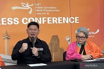 Indonesian Olympic chief to meet IOC over Israeli visa row